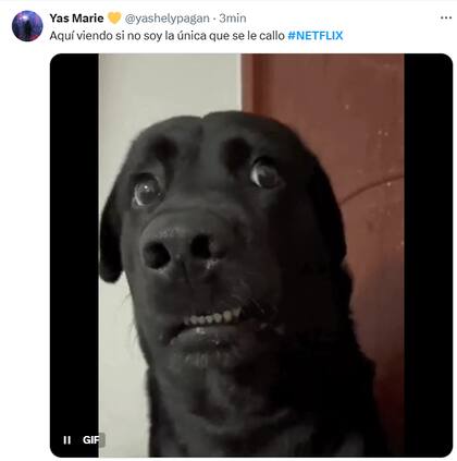 Los mejores memes de la caída de Netflix