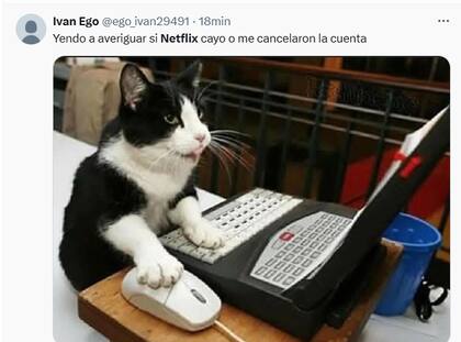 Los mejores memes de la caída de Netflix