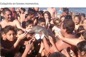 Los mejores memes y reacciones de la exhibición de Franco Colapinto