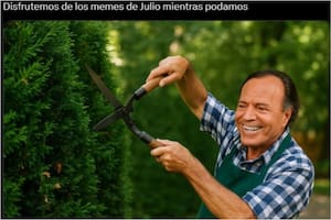 Los mejores memes de la llegada del mes de julio