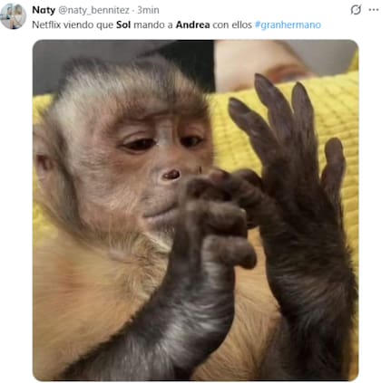 Los mejores memes de la pelea entre Andrea del Boca y Solange Abraham
