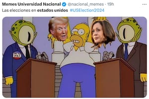 Los mejores memes de las elecciones 2024 en EE.UU.