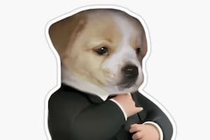 Premios Oscar 2026: los mejores memes y reacciones en las redes