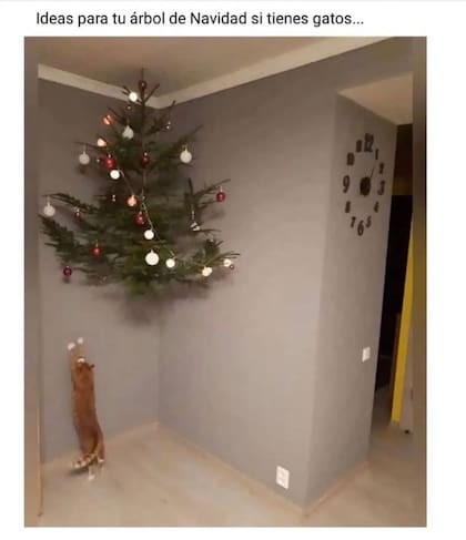 Los mejores memes en la previa de la Navidad