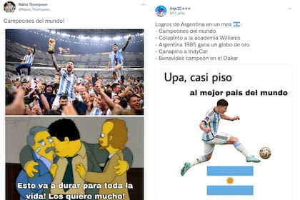 Los mejores memes por el primer de Argentina campeón del mundo