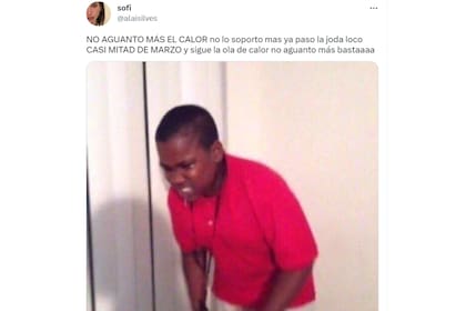 Los mejores memes por la ola de calor