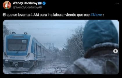 Los mejores memes sobre la caída de nieve en Buenos Aires