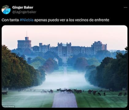 Los mejores memes sobre la niebla en Buenos Aires