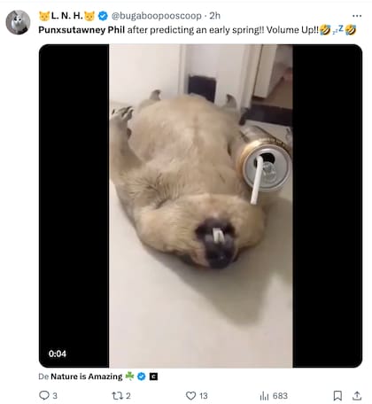 Los mejores memes y reacciones por el Día de la Marmota 2024