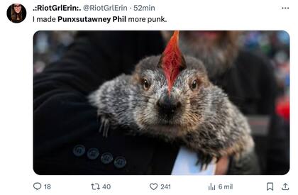 Los mejores memes y reacciones por el Día de la Marmota 2024