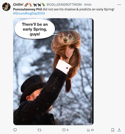 Los mejores memes y reacciones por el Día de la Marmota 2024