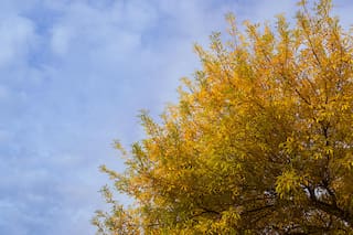 Los rituales más recomendados para el comienzo del otoño