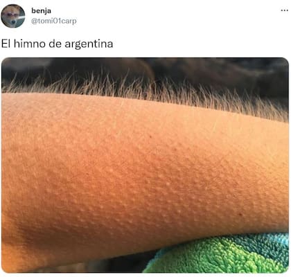 Los memes de Argentina - Francia