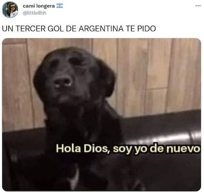 Los memes de Argentina - Francia