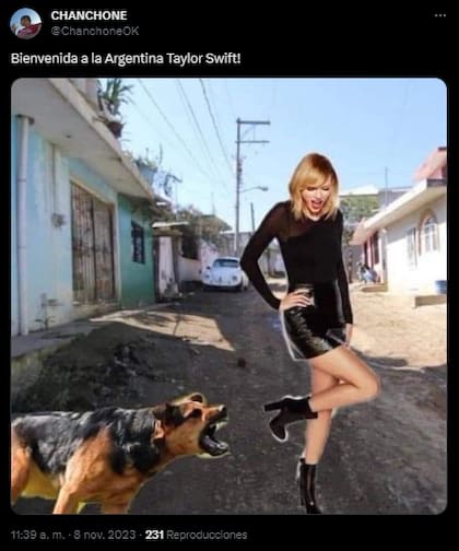 Los memes de la llegada de Taylor Swift a la Argentina (Foto: X)