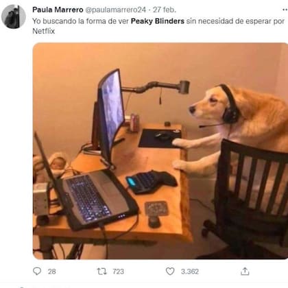 Los memes de los fanáticos de Peaky Blinders expresaron la desesperación por ver la serie ya mismo y no esperar a que la lance Netflix