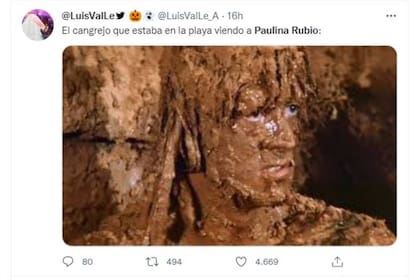 Los memes escatológicos estuvieron a la orden del día luego de conocerse las imágenes de Paulina Rubio que hacía sus necesidades en la playa