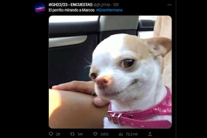 Los memes estallaron a favor de Marcos (Captura video)