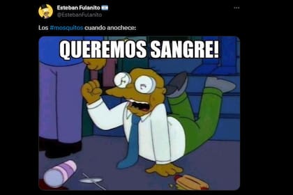 Los memes estallaron en las redes sociales (Foto X)