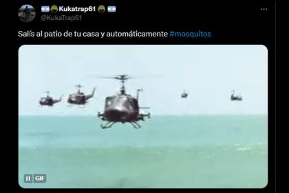 Los memes estallaron por la gran presencia de mosquitos (Foto X)