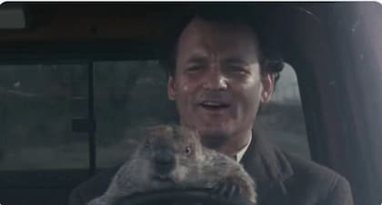 Los memes por el Día de la Marmota llegaron a las redes sociales