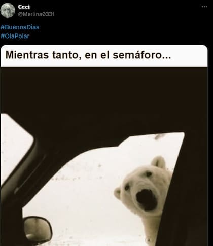 Los memes referidos a la llegada de la ola polar