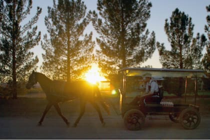 Los menonitas más ortodoxos no aceptan, entre otras cosas, el uso de llantas de caucho