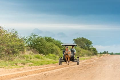 Los menonitas no manejan auto. Se mueven en sulky.