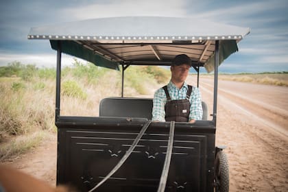 Los menonitas no usan autos; se manejan en carro.
