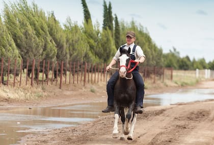 Los menonitas se trasladan en buggies o caballos.