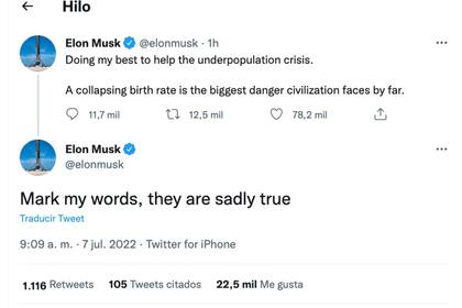 Los mensajes de Elon Musk que confirmarían que tuvo gemelos con su empleada