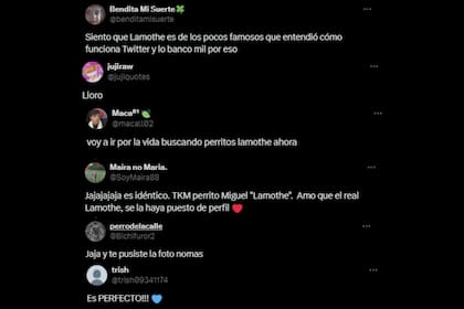 Los mensajes que recibió Estaban Lamothe tras poner la foto del perrito en su perfil de X (Foto: Captura de X)