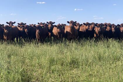 Los mercados se han vuelto cada vez más complejos, así como las condiciones para acceder a ellos