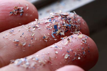 Los microplásticos y los nanoplásticos son pequeños fragmentos de plástico que llegan a los alimentos y bebidas como resultado de los procesos industriales
