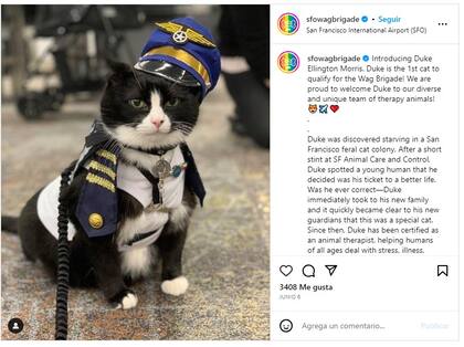 Los miembros de la Brigada Wag le dieron la bienvenida al gato Duke a inicios de este mes