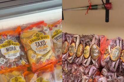 Los migrantes destacan que el lugar les recuerda a Ecuador