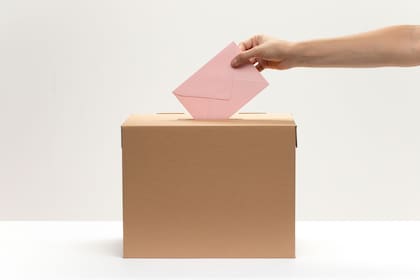 Los migrantes hondureños en EE.UU. también pudieron ejercer su derecho al voto en las elecciones