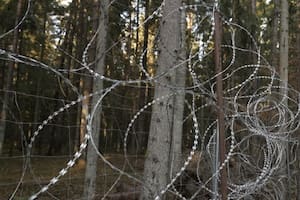 Los migrantes usan escaleras y tenazas para poder cruzar la alambrada instalada por Polonia en 2022.