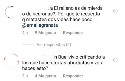 Los militantes abortistas no tuvieron deparos en insultar a Granata por sus actitudes a favor de la "pro-vida".