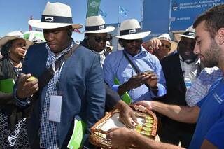 Fuerte interés por el país de una misión de ministros de Agricultura del Caribe