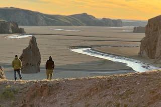 El destino de la Patagonia que deslumbró a Charles Darwin por los paisajes y la fauna
