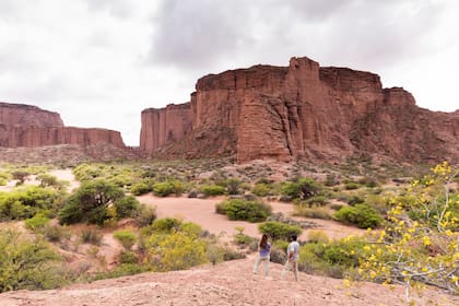 Los miradores de la Quebrada de Don Eduardo ofrecen vistas únicas.