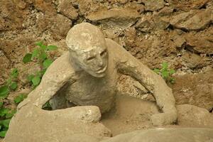 Material genético extraído recientemente prueba que muchas teorías eran incorrectas