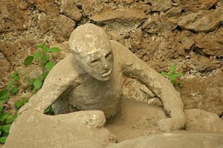 Material genético extraído recientemente prueba que muchas teorías eran incorrectas