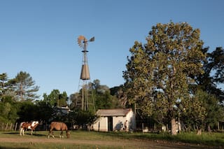 La estructura de hierro galvanizado que cumple un rol clave desde hace siglos