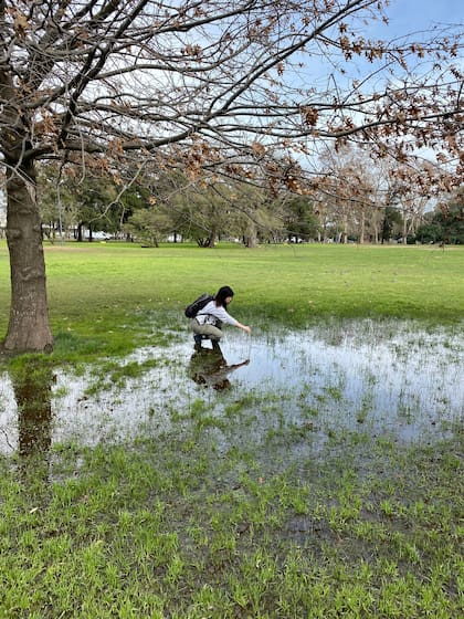 Los monitoreos del GEM son parte de un convenio con el Gobierno de la Ciudad de Buenos Aires.