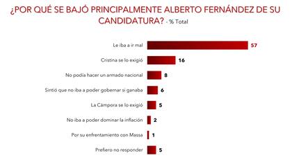 Los motivos de la renuncia de Alberto Fernández a ser candidato, según la encuesta de D'Alessio Irol-Berensztein