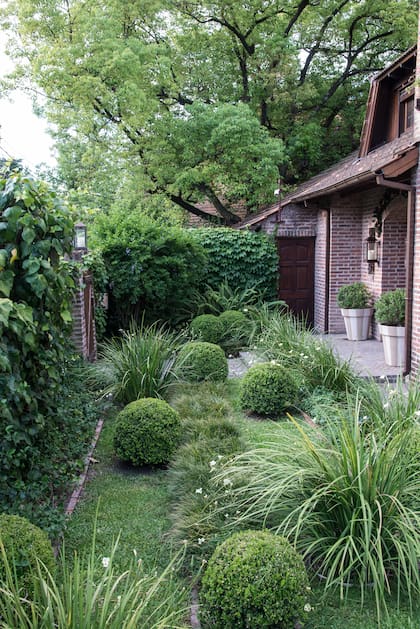 Los muros verdes son de Hera helix. Las formas globosas de Buxus sempervirens. Las matas sueltas de Dietes bicolor.