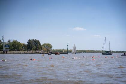 Los nadadores en plena travesía por el Río de la Plata