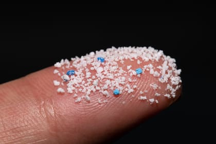 Los nanoplásticos son más pequeños que los microplásticos en interactuan directamente con las células